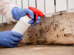 Best Comprehensive Air Testing for Mold Contaminants  in Dresden, OH